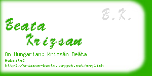 beata krizsan business card